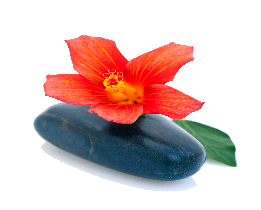 Fotolia_34873617_L_klein_Kopie