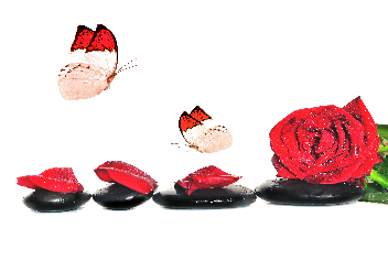 shutterstock_300857069_Kopie